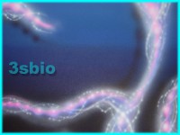 /album/fotogalerie-airbrush/a6uv-jpg/