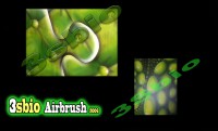 /album/fotogalerie-airbrush/airbrush7-jpg/